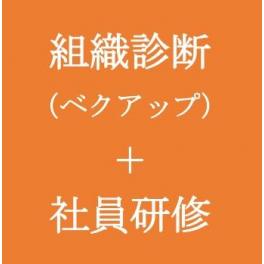 「組織診断」とたった３ヶ月間の「社員研修」で、こんなに変わりました！！