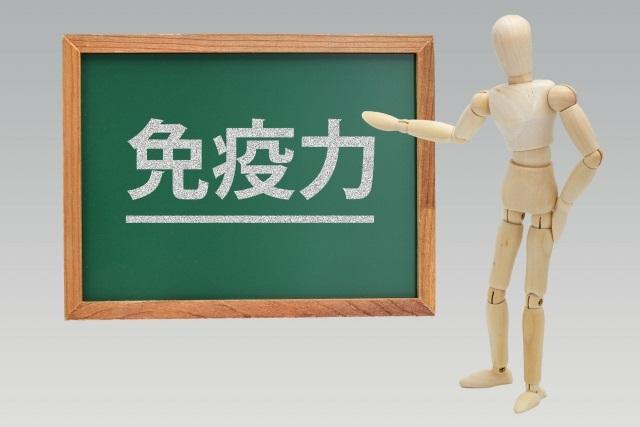 免疫力を高めよう!その②