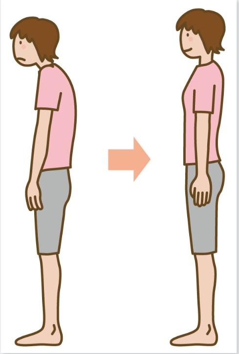 よい姿勢のつくり方